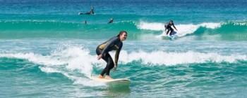 reference